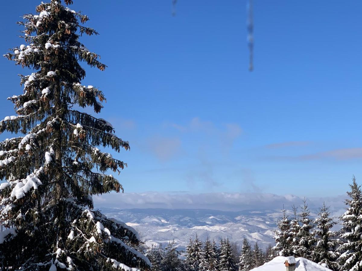G&D Apartment Kopaonik Exterior photo